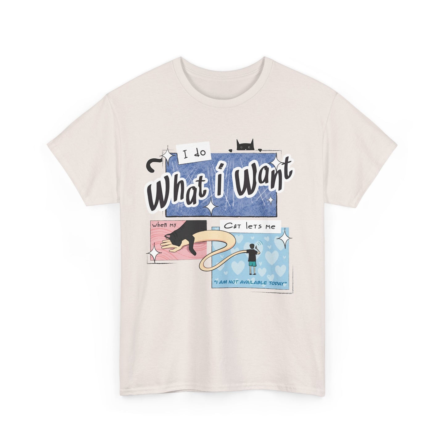 I Do What I Want T-Shirt | Unisex