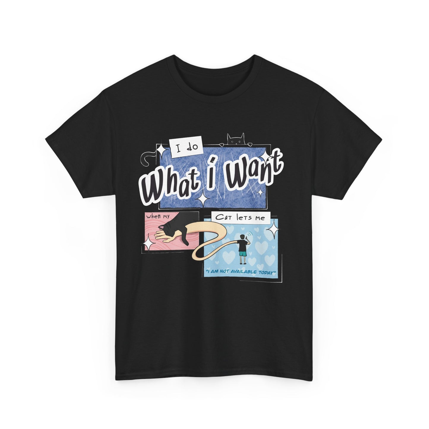 I Do What I Want T-Shirt | Unisex